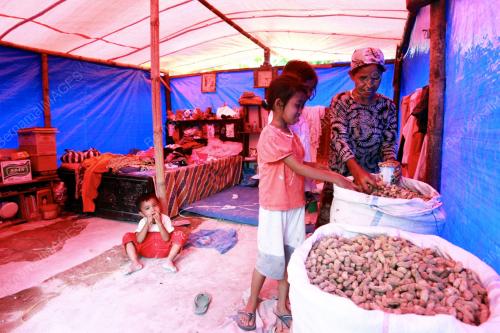 GEMPA BUMI