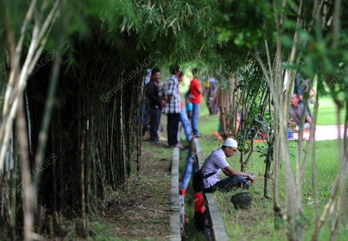 IDN10_26122014_10_TAHUN