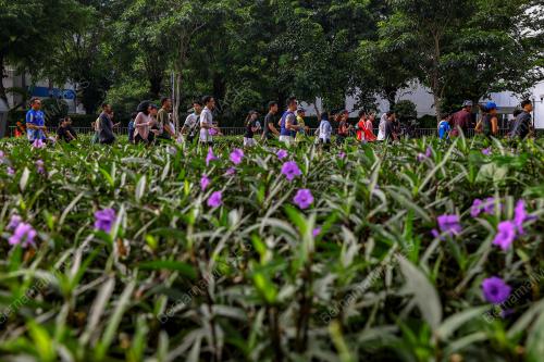 CAR FREE DAY JAKARTA