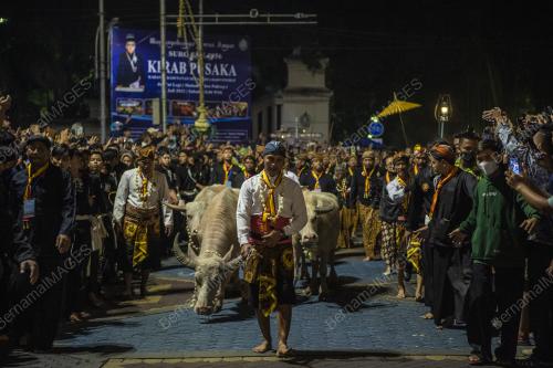 PERAYAAN KIRAB PUSAKA ACARA "KEBO BULE"