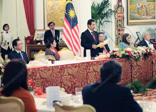 YANG DIPERTUAN AGONG