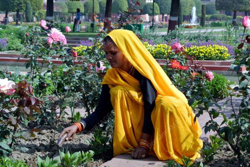 IND01_14022013_MUGHAL