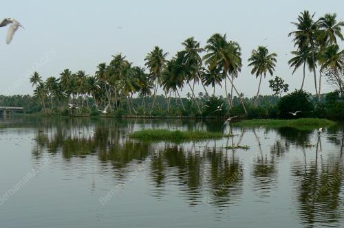 SCENERY IN KUMARAKOM