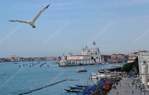 ITA01_02062014_VENICE1