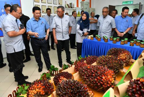 JB01_03022019_KOMPLEKS_PENYELIDIKAN