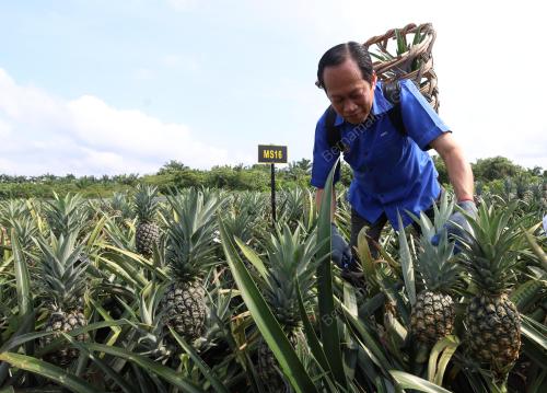DATUK SERI AHMAD MASLAN