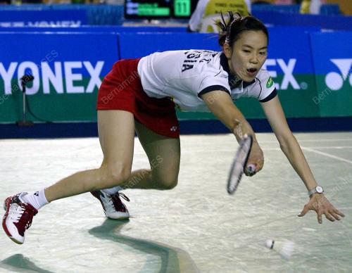 BADMINTON MASTER 2009