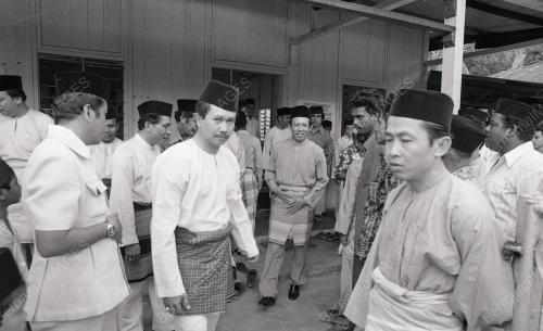 MUSA HITAM