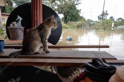 BANJIR DI BATU PAHAT