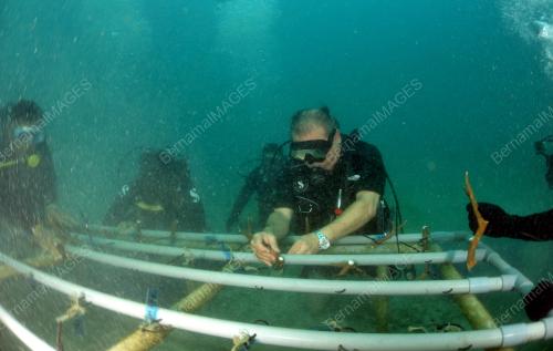 JB01_07082017_KARANG