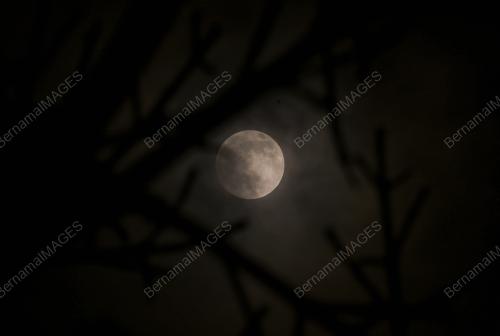 FENOMENA BLOOD MOON