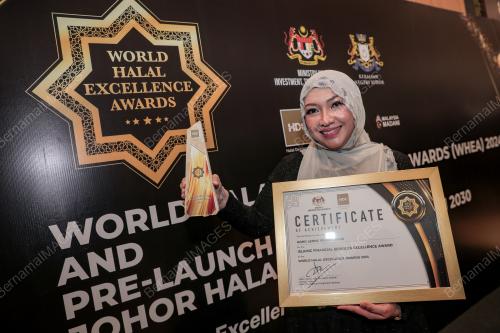 DAFINAH AHMED HILMI