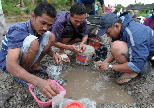 JB01_09012012_MENDULANG_EMAS
