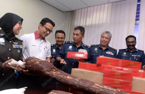 DATUK MOHAMMAD HAMIDDAN MARYANI