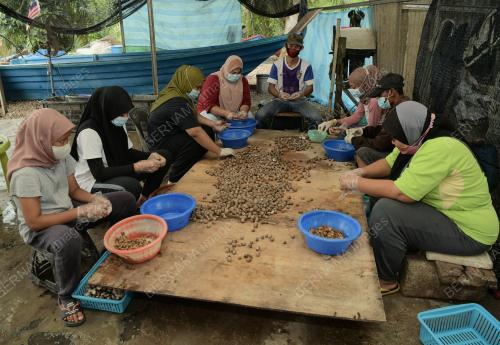 KERANG_KUPANG