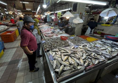 TINJAUAN PASAR BASAH