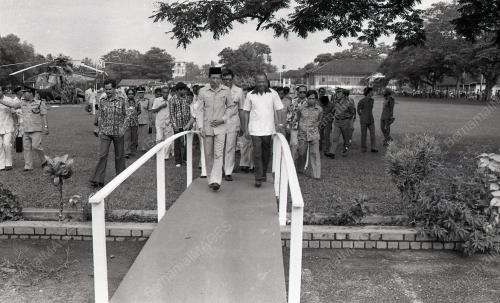 MUSA HITAM