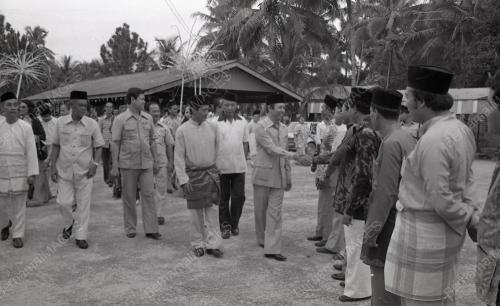 MUSA HITAM