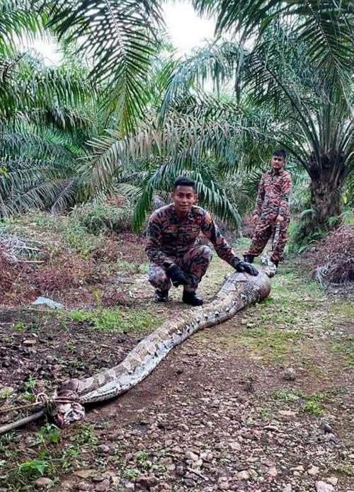ANGGOTA BOMBA DANPENYELAMAT