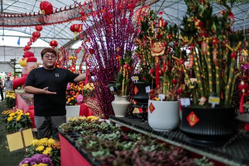 PERSIAPAN TAHUN BARU CINA