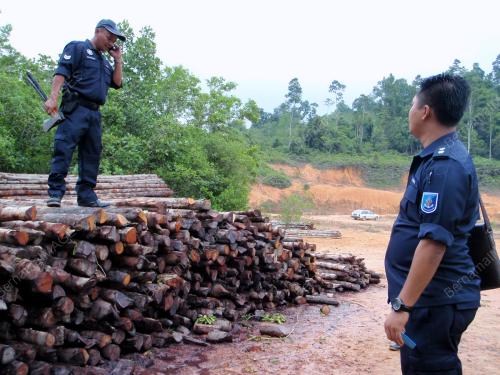 KAYU BAKAU