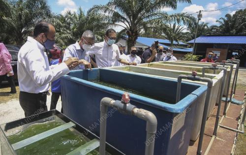 TENGKU DATUK SERI ZAFRUL TENGKU ABDUL AZIZ