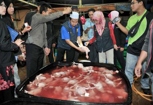 SAMSUDIN PAIMI