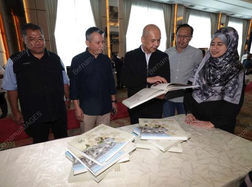 DATUK AMIZAN MOHD ALI