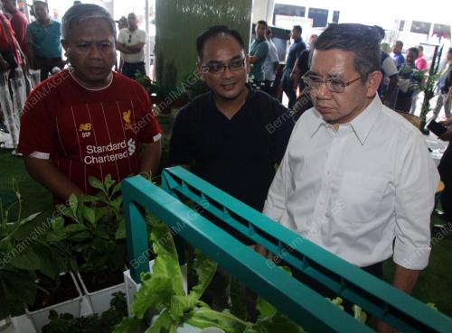 JB01_27112019_HARI_PELADANG