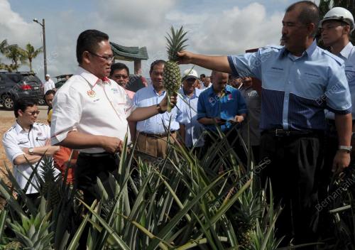 DATUK SERI NOH OMAR