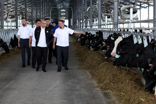 DATUK ONN HAFIZ GHAZI