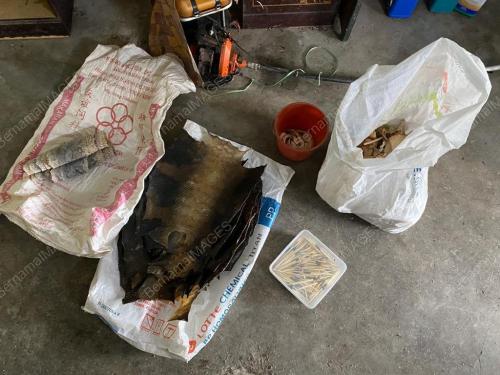 PERHILITAN TAHAN LELAKI VIETNAM DISYAKI SIMPAN DAN JUAL BAHAGIAN
