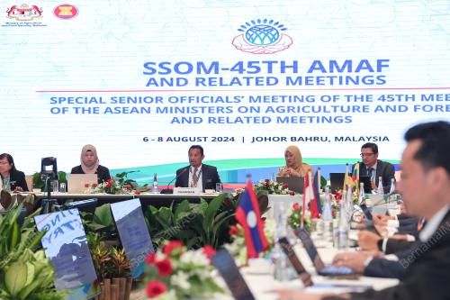 DATUK LOKMAN HAKIM ALI 