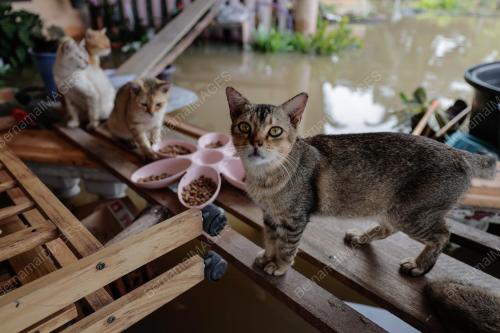 BANJIR DI BATU PAHAT
