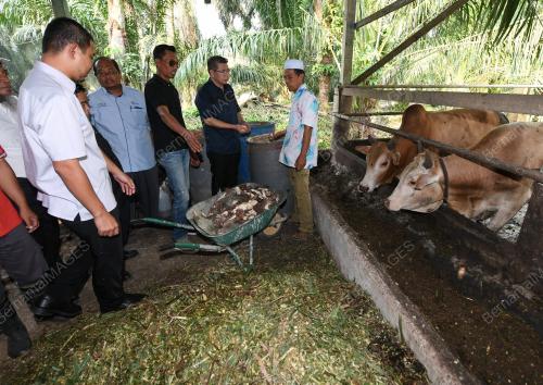 JB02_07072018_LEMBU