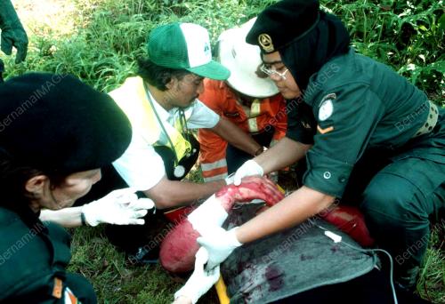 PESAKIT LATIHAN BATU 2000