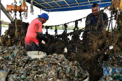 JB02_08052019_KUPANG_20190416BNBM97285