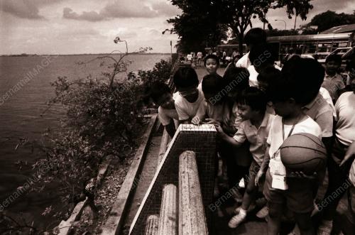 PELAJAR SEKOLAH KEBANGSAAN WOODLANDS