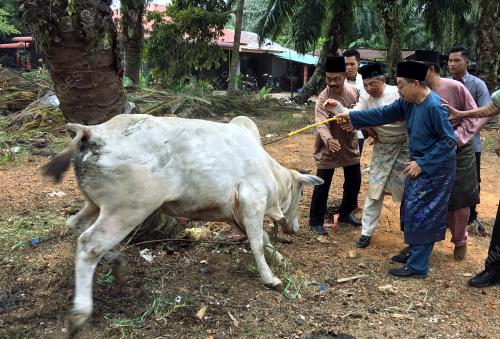 JB02_09082019_MUHYIDDIN_BN201908087554