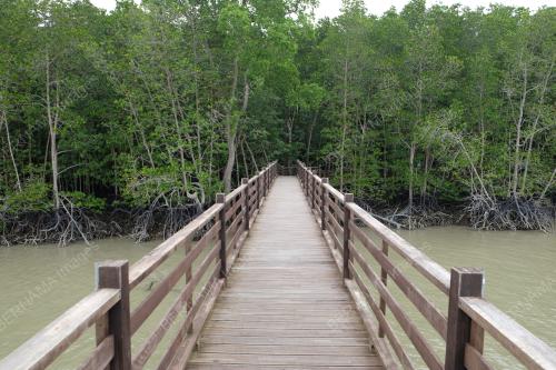 TAMAN NEGARA JOHOR PULAU KUKUP