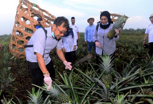 DATUK CHE ABDULLAH MAT NAWI