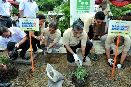 JB02_12122012_MBR_POKOK_BAKAU