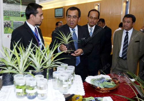 JOHARI BAHARUM
