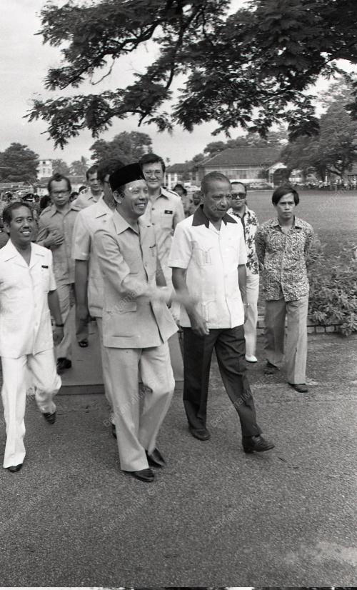 MUSA HITAM