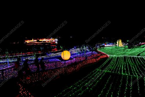 LUNA LIGHTS WONDERLAND 