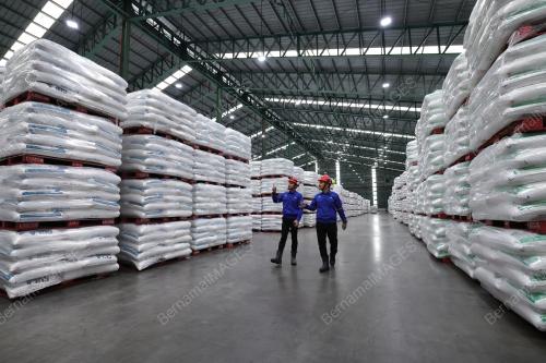 MSM SUGAR REFINERY