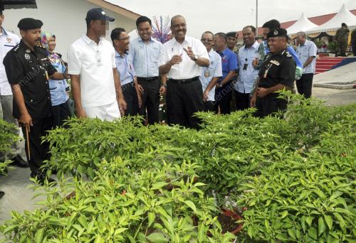 JB02_18122016_KSN-KEM_MAHKOTA