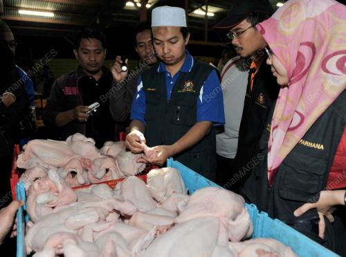 SAMSUDIN PAIMI