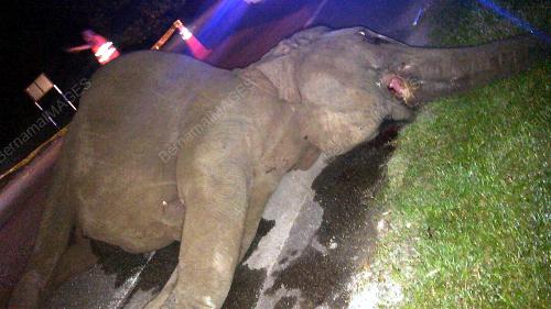 JB02_21052018_LANGGAR_GAJAH