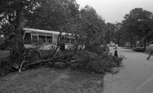 JB02_22012015_KEMALANGAN_BAS